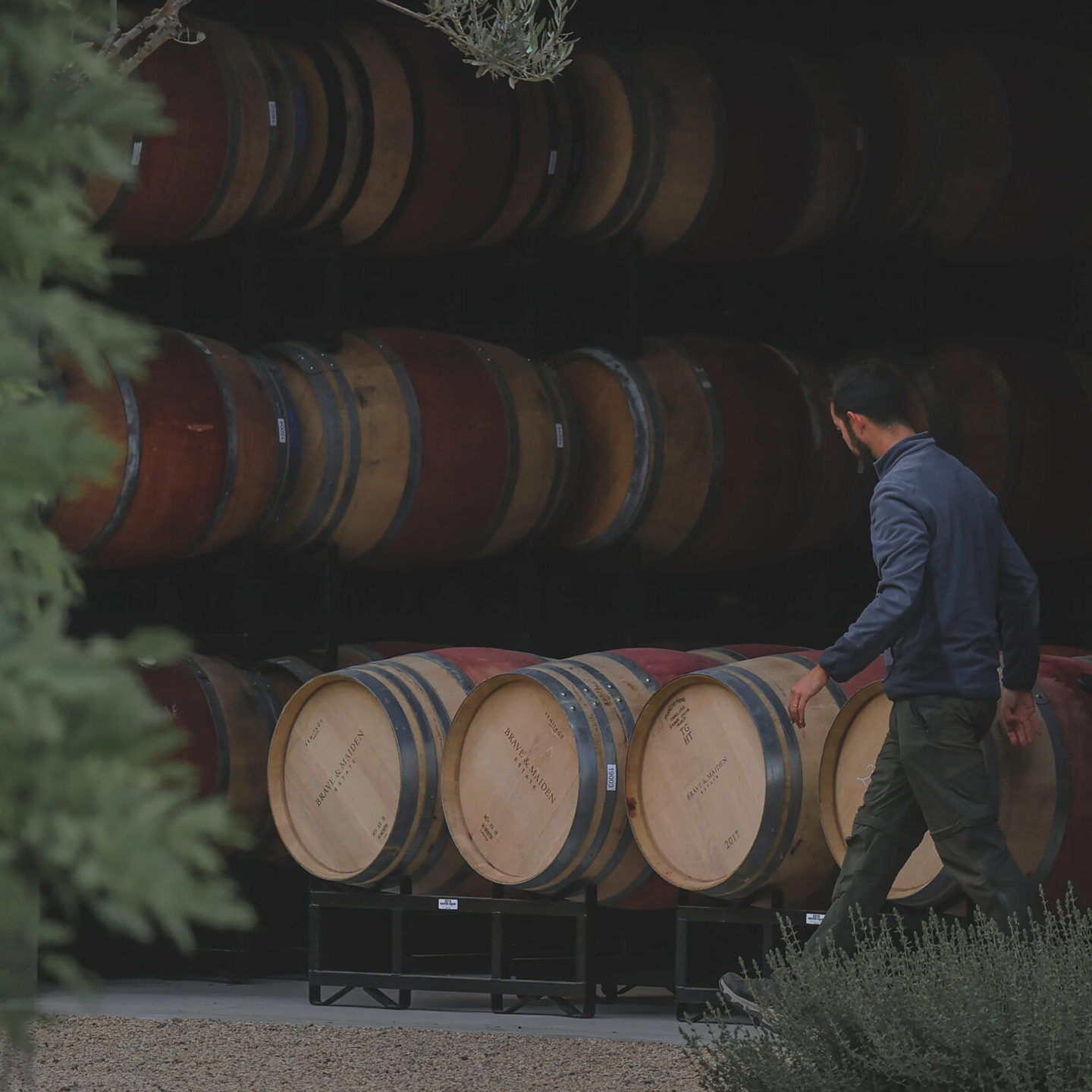 A glimpse inside the barrel room