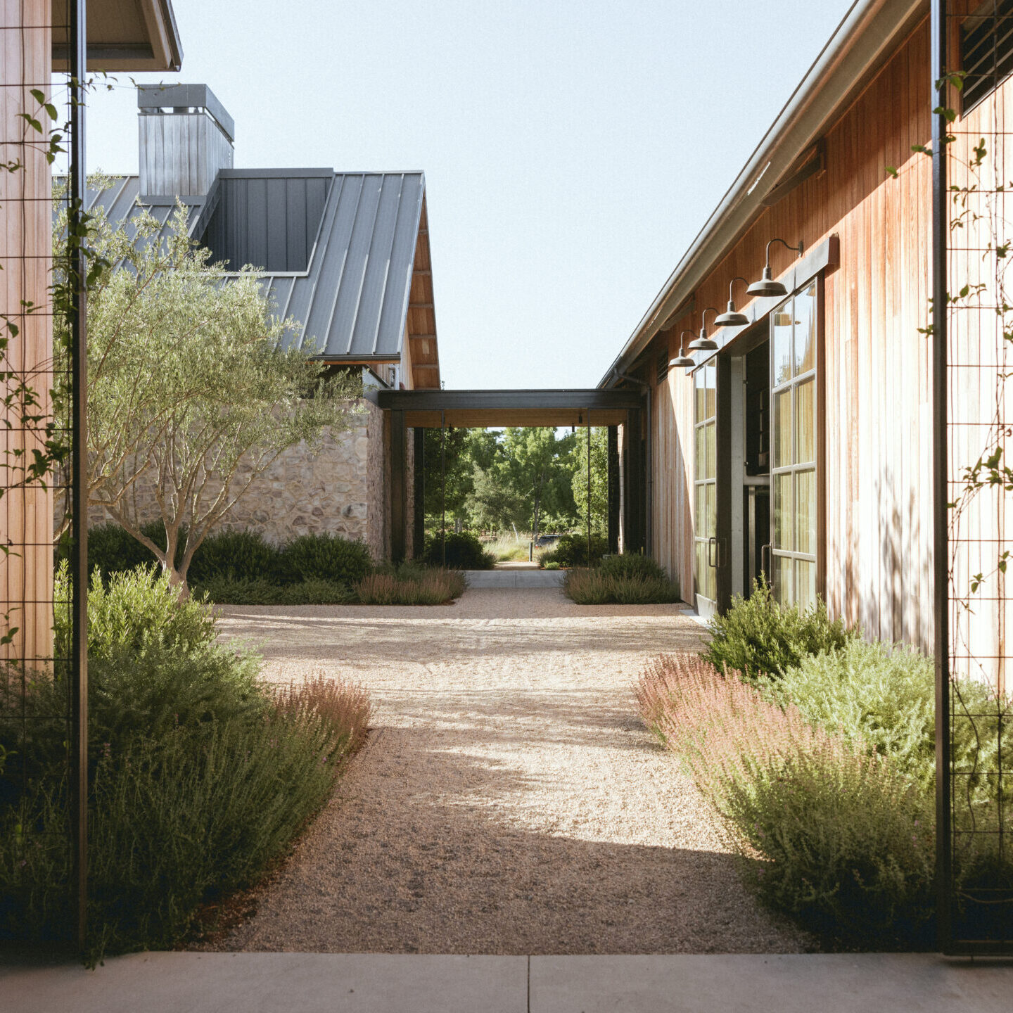Outdoor space at the vineyard