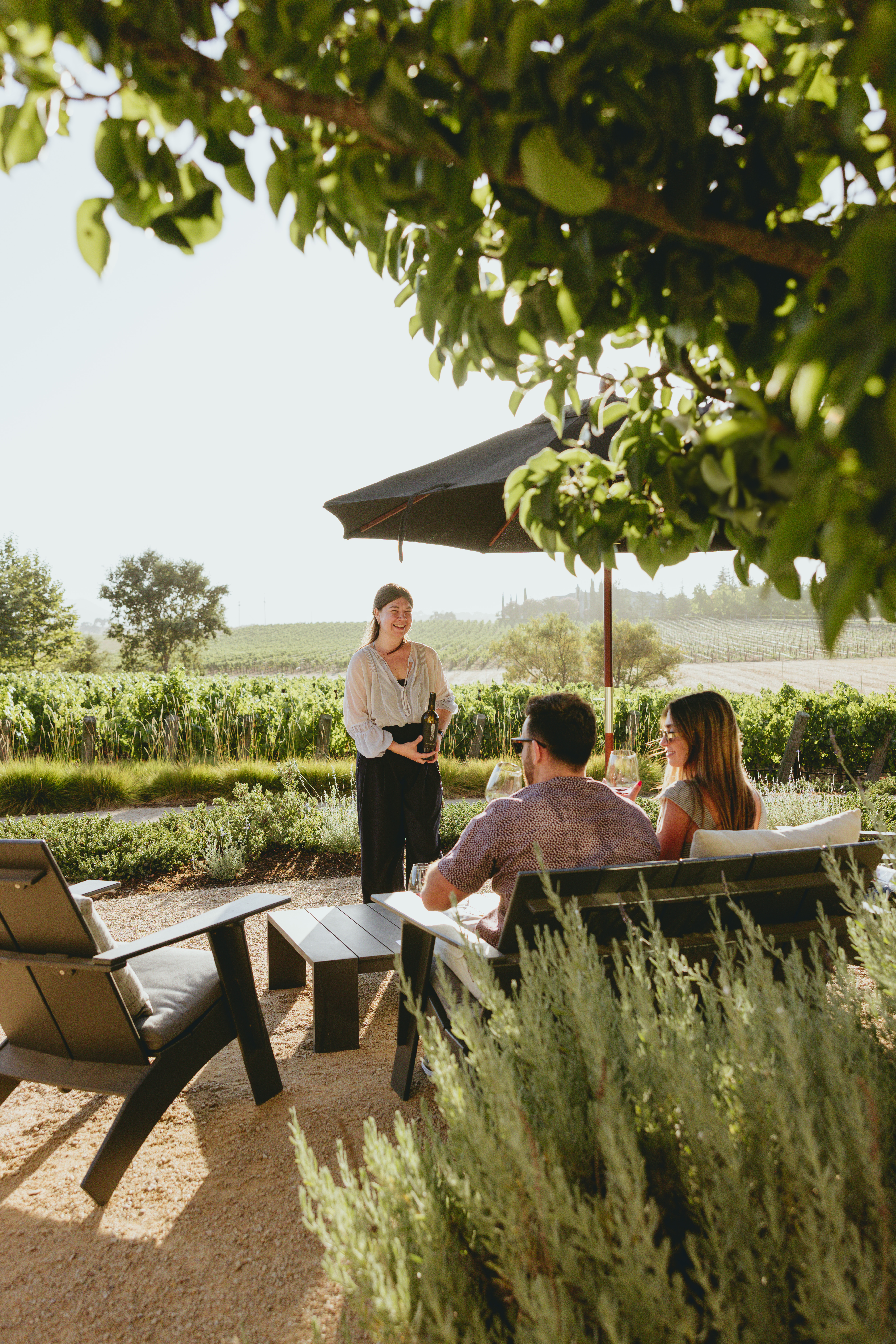 Tasting experience next to the vineyard