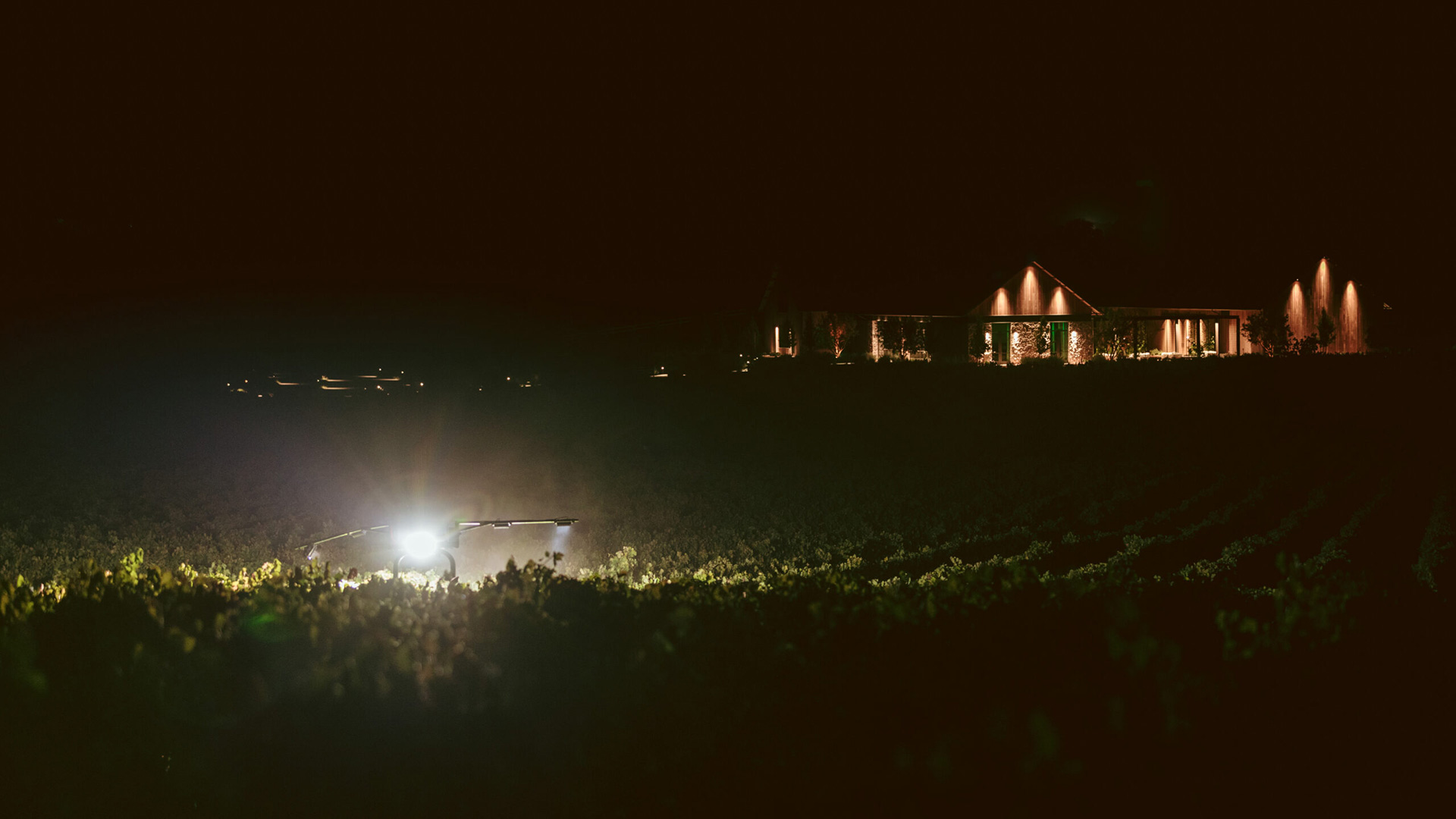 A night harvest in the vineyard with bright floodlights illuminating the vines and the winery glowing in the distance.
