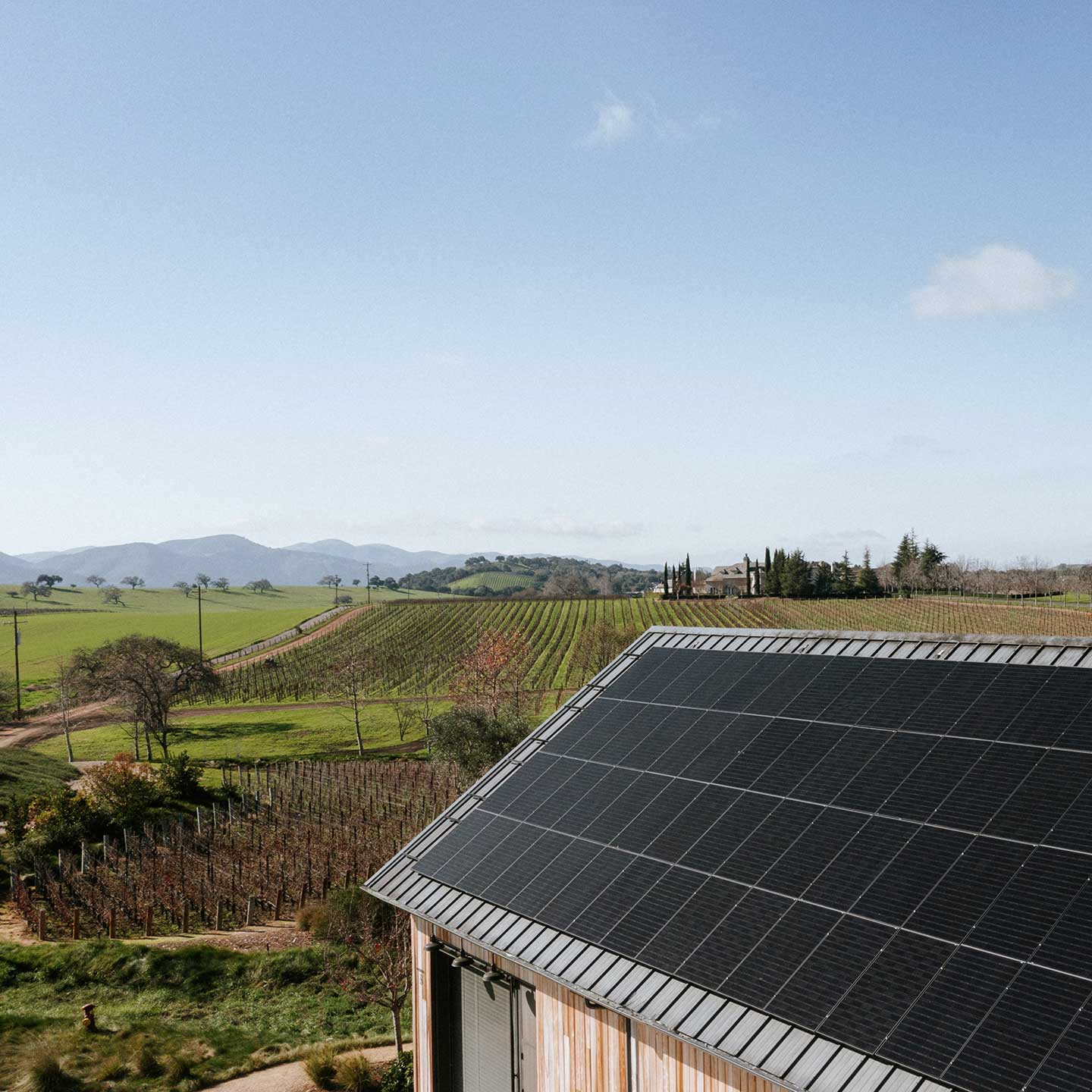 Aerial view of solar panels on a modern barn roof at Brave & Maiden Estate, overlooking lush green vineyards and rolling hills under a clear blue sky.